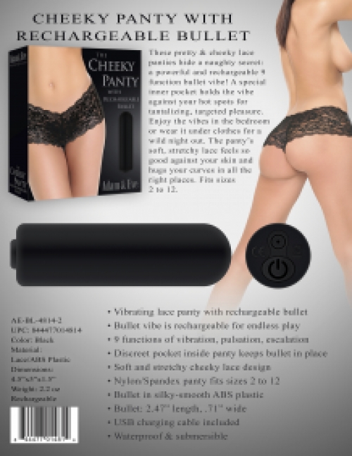 CHEEKY PANTY WITH RECHARGEABLE BULLET